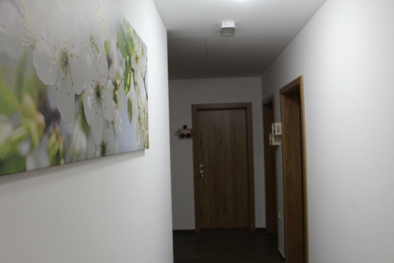 Vdovic Guest House Svecina Exterior foto